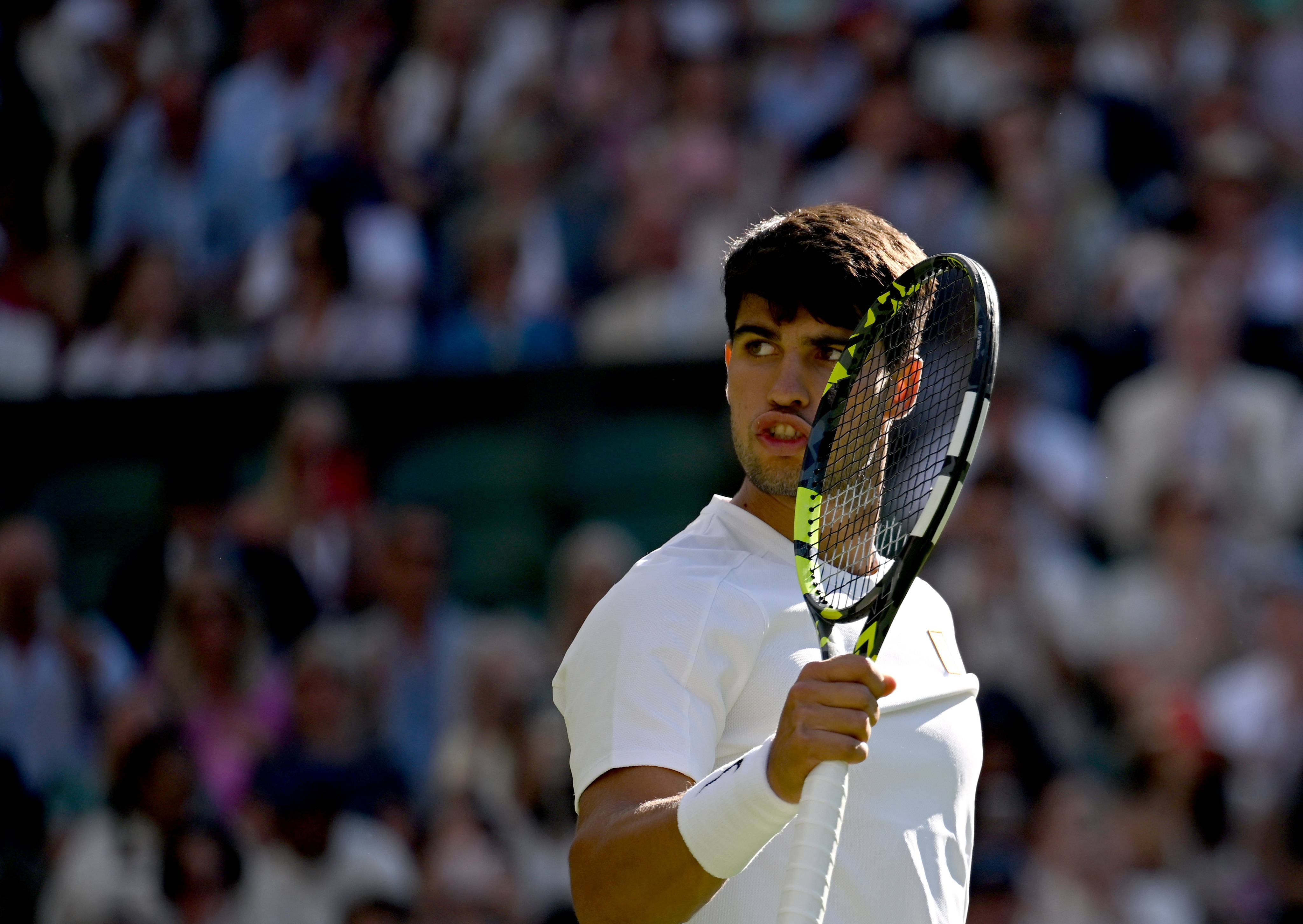 温网碾压澳网，阿尔卡拉斯惊艳四座