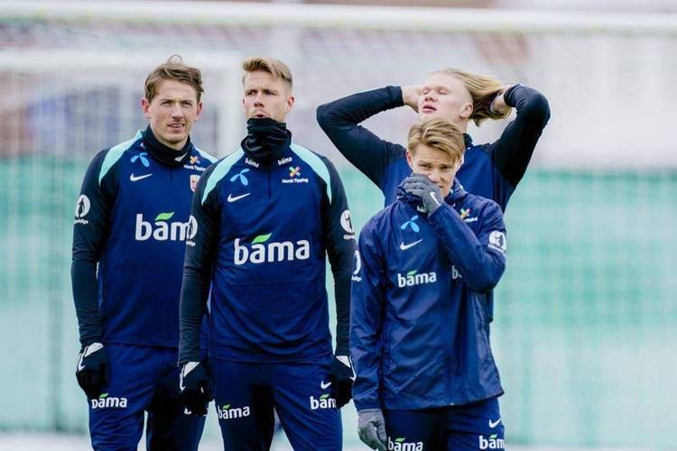 爱沙尼亚主场不敌捷克，欧预赛晋级前景一片迷茫