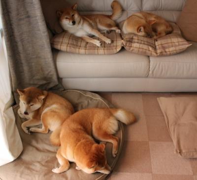 跨界统治力,从爵士碾压到马克西接管—竞技体育的唯一样本